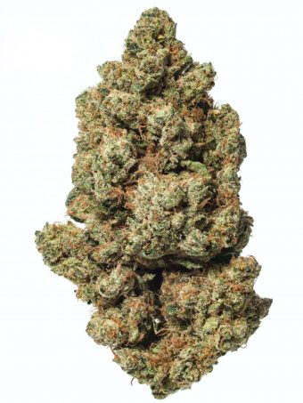 Venom OG