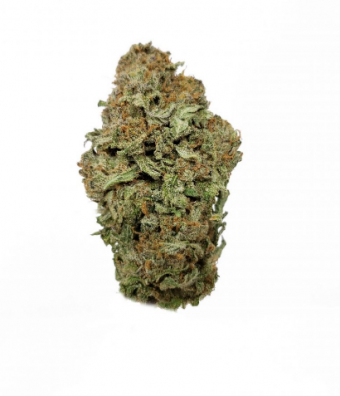 Jet Fuel