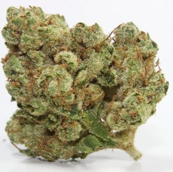 Ghost OG