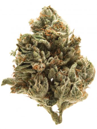 LA Confidential