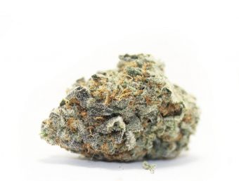 LA Grape