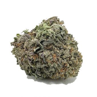 Purple Urkle (AAA)